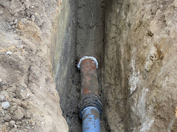 Best Flood restoration services  in Tifton, GA
