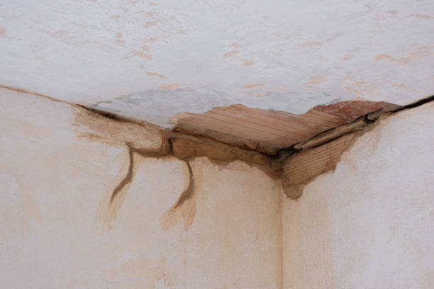 Best Water damage contractors near me  in Tifton, GA