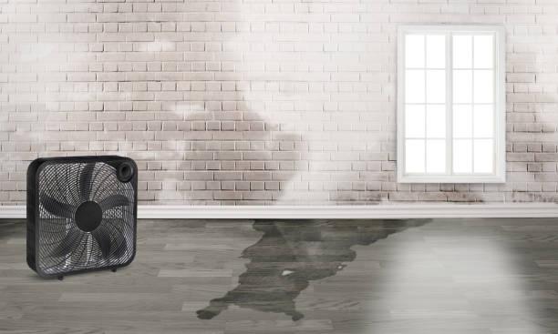 Best Water damage restoration near me  in Tifton, GA