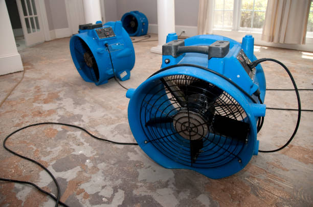 Sewage cleanup and water damage restoration in GA