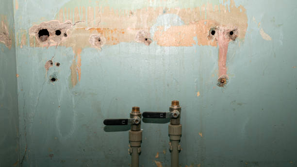 Best Flooded house restoration  in Tifton, GA