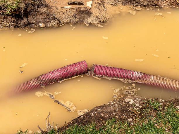Best Water damage cleanup near me  in Tifton, GA